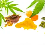 Shatter Online Canada